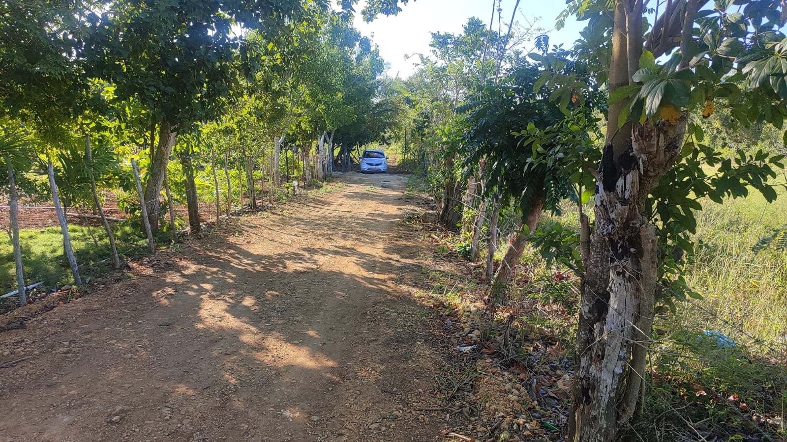 Finca de 38 Tareas con Piscina y Casas Campestres Modernas en Guerra, Ideal para Venta y Renta para Pasadías